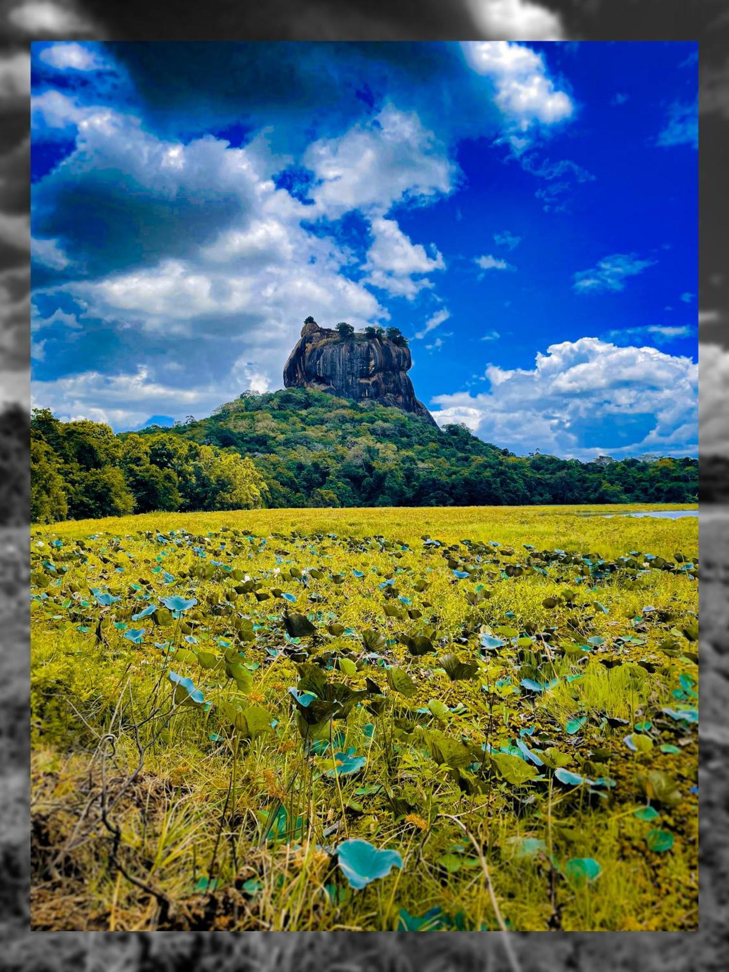 The Lotus Villa Sigiriya Eksteriør bilde