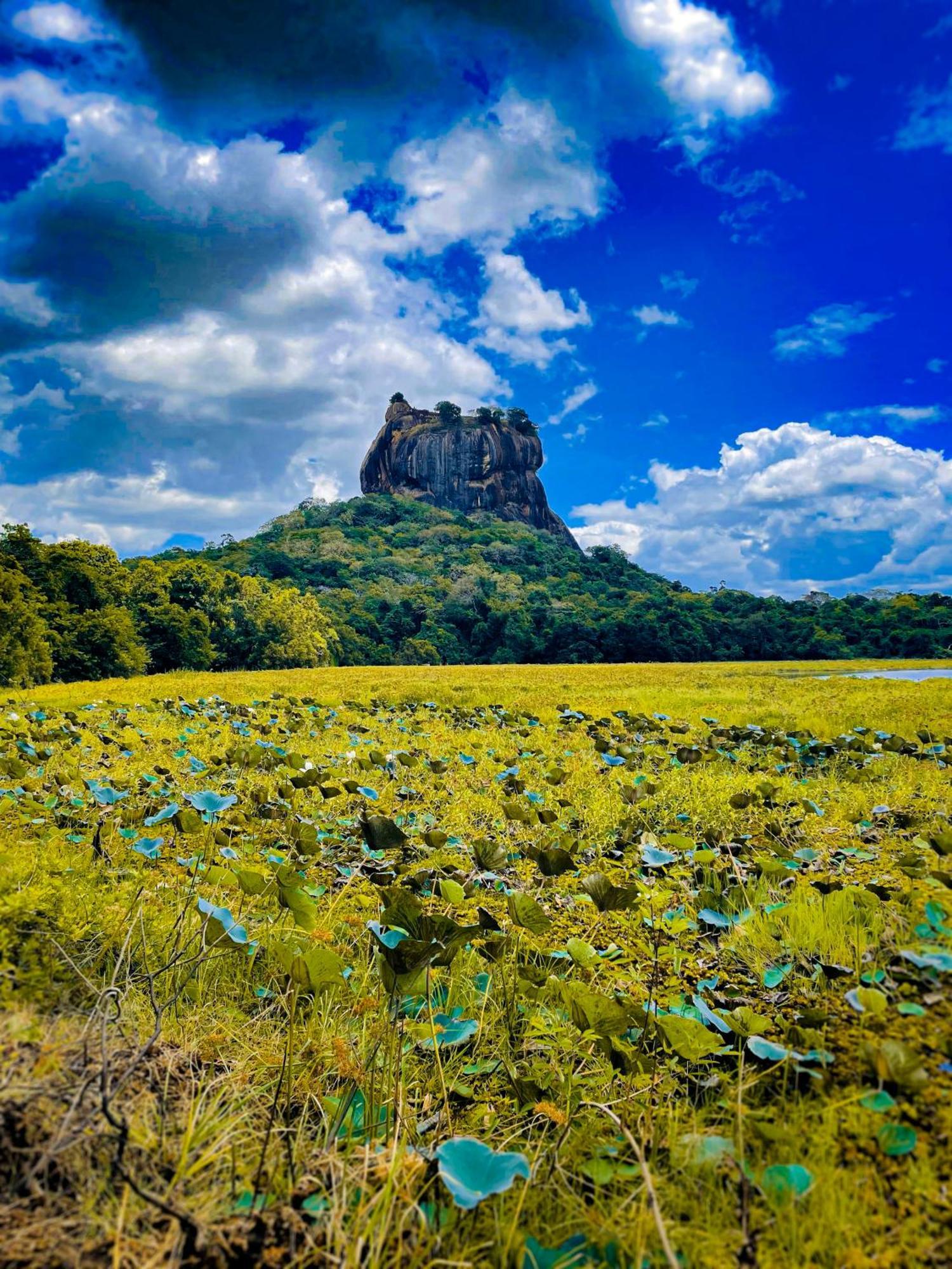 The Lotus Villa Sigiriya Eksteriør bilde